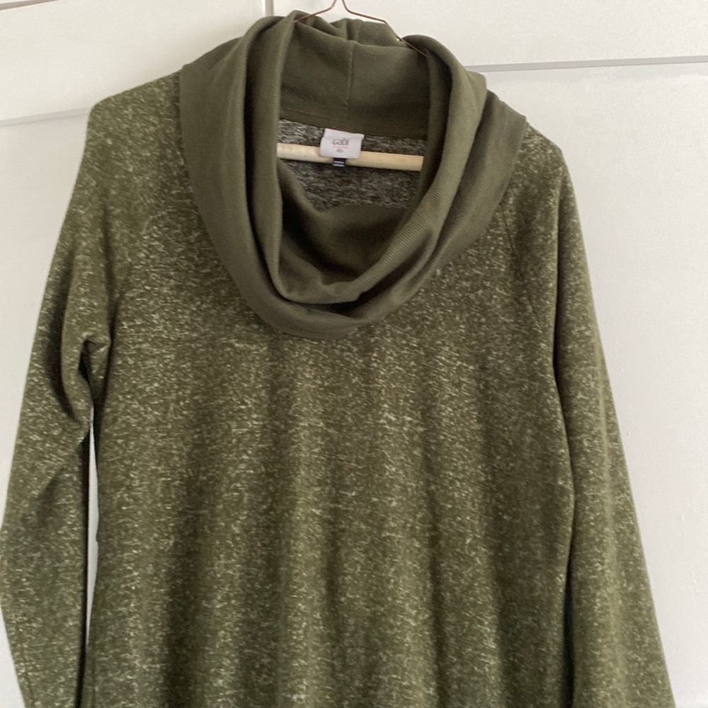 Cabi sweater dress